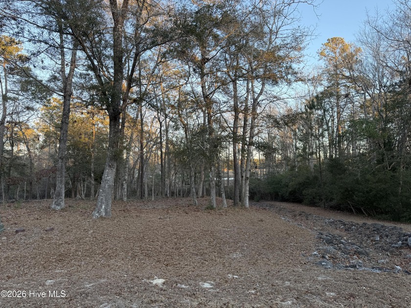 Discover a rare opportunity to own a marshfront homesite in the - Beach Lot for sale in Supply, North Carolina on Beachhouse.com
