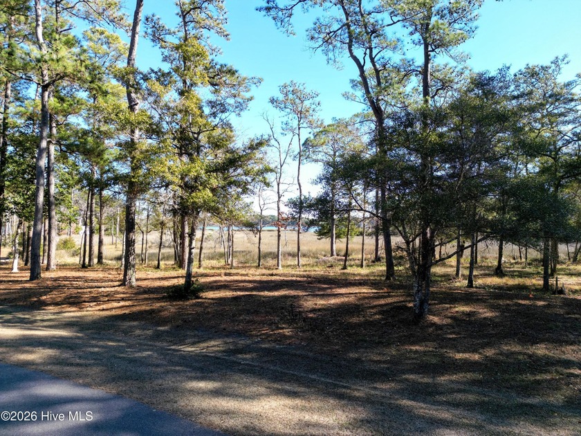 Set on more than half an acre, this surveyed and partially - Beach Lot for sale in Supply, North Carolina on Beachhouse.com