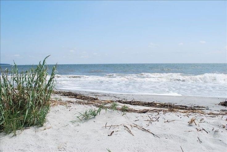 Don't let this opportunity pass you by! 2nd row Ocean lot in - Beach Lot for sale in Daufuskie Island, South Carolina on Beachhouse.com