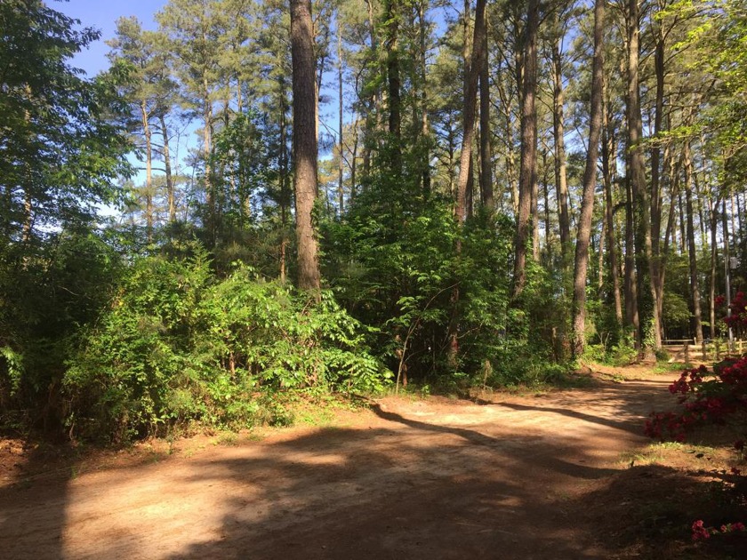 Wooded building lot in serene Folly Creek Club, a small water - Beach Lot for sale in Accomac, Virginia on Beachhouse.com