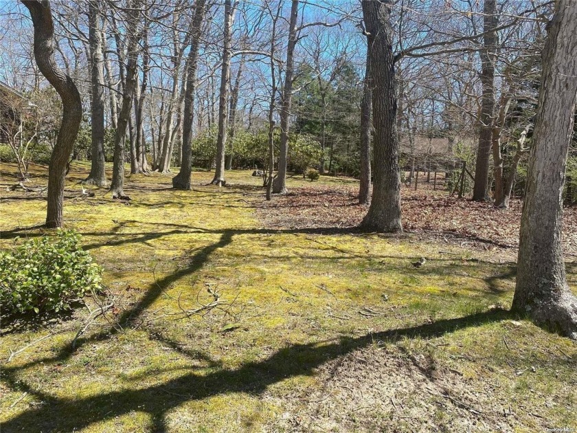 Great opportunity to build on these two single and separate lots - Beach Home for sale in East Hampton, New York on Beachhouse.com