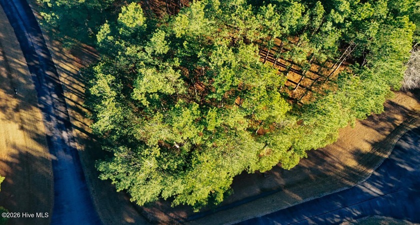 Build Your Dream Home in RiverSound Looking for peace, privacy - Beach Lot for sale in Edenton, North Carolina on Beachhouse.com