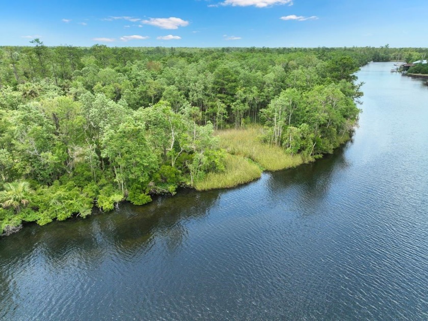Once in a lifetime opportunity! 48 Acres on the St. Marks River - Beach Acreage for sale in Crawfordville, Florida on Beachhouse.com
