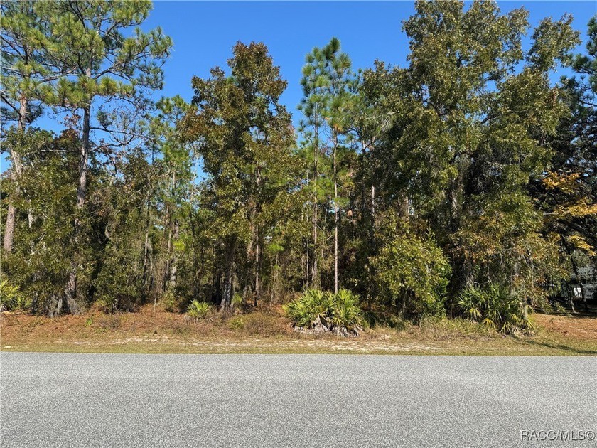 Beautiful .29-Acre Homesite in Sugar Mill Woods - Oak Village - Beach Lot for sale in Homosassa, Florida on Beachhouse.com