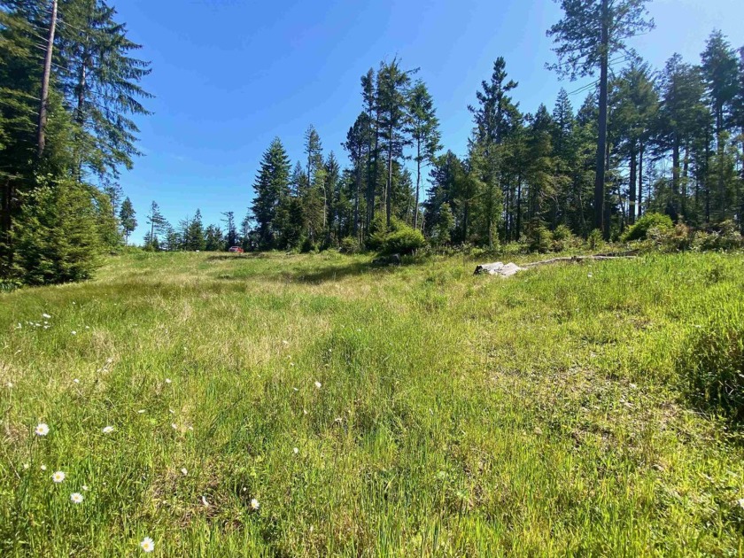 This sunny 2-acre parcel, surrounded by towering redwood trees - Beach Lot for sale in Crescent City, California on Beachhouse.com