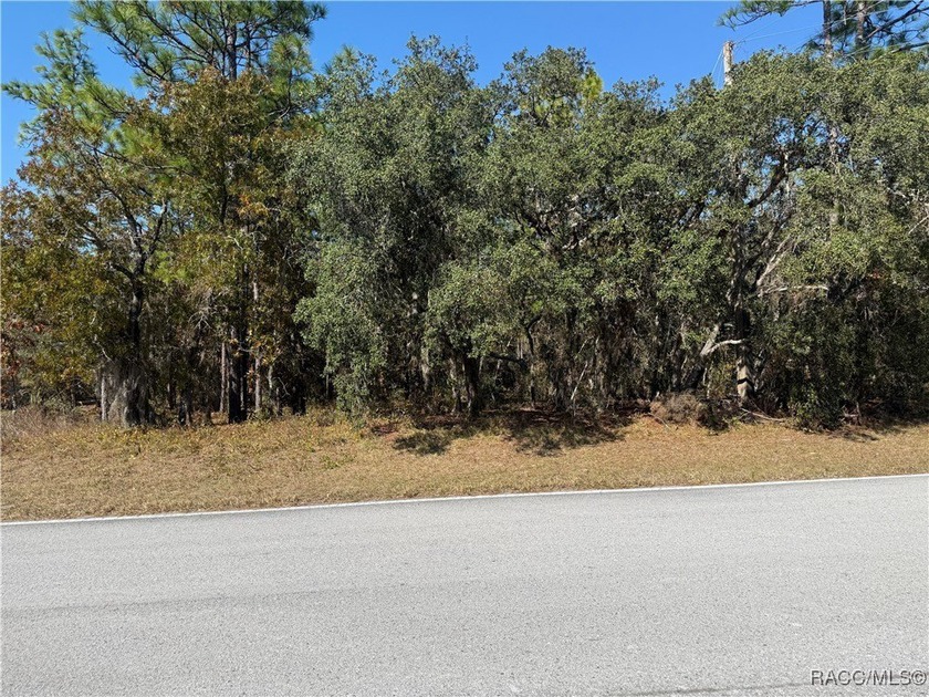 Premium Building Lot in Sugarmill Woods - Cypress Village - Beach Lot for sale in Homosassa, Florida on Beachhouse.com