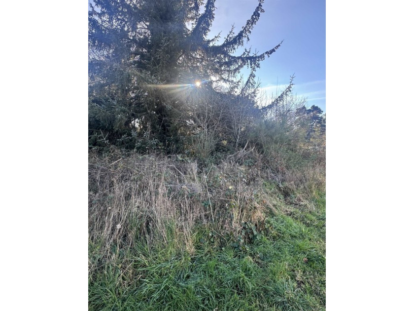 This lot could be your your next building site. Water and sewer - Beach Lot for sale in Crescent City, California on Beachhouse.com