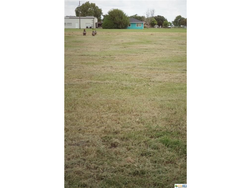 ONLY LOT IN BLK 129 with SELLER FINANCING AVAILABLE!!!  Interior - Beach Lot for sale in Seadrift, Texas on Beachhouse.com