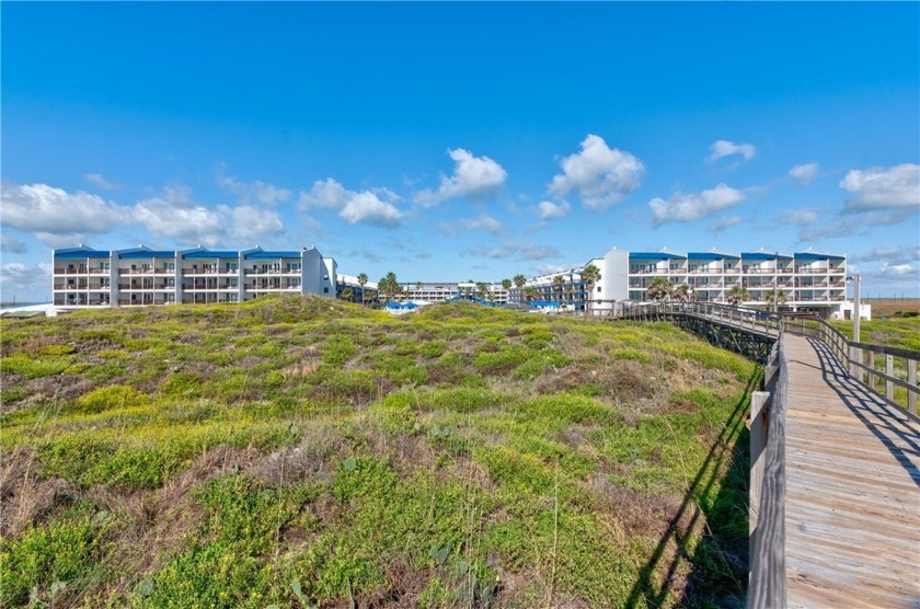 Port Royal Ocean Resort is the premier Port Aransas Beachfront - Beach Condo for sale in Port Aransas, Texas on Beachhouse.com