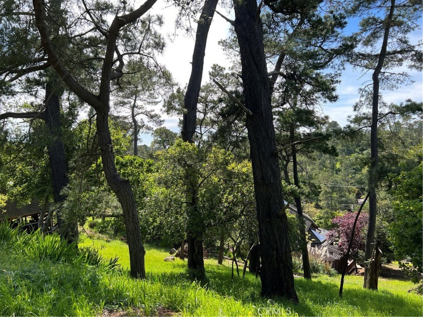 Forest View double lot, 50'x70' approx 3500sf in a quiet part of - Beach Lot for sale in Cambria, California on Beachhouse.com
