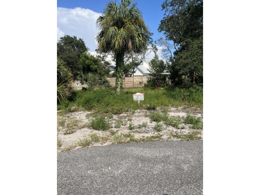 INVESTOR OPPORTUNITY IN BLUE MOUNTAIN BEACH!! Premium Vacant Lot - Beach Lot for sale in Santa Rosa Beach, Florida on Beachhouse.com