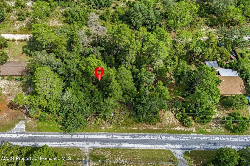 This Half Acre Lot is Ready for you to Build your Dream Home or - Beach Lot for sale in Weeki Wachee, Florida on Beachhouse.com