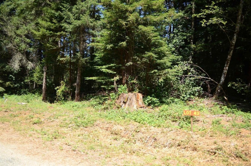 Rare and beautiful subdivision lot w/secluded privacy and Del - Beach Lot for sale in Crescent City, California on Beachhouse.com