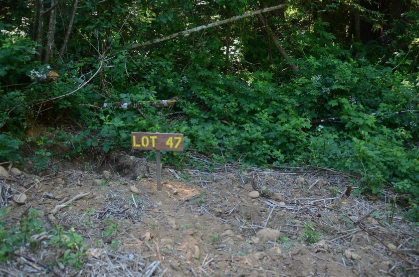 Rare and beautiful subdivision lot w/secluded privacy and Del - Beach Lot for sale in Crescent City, California on Beachhouse.com