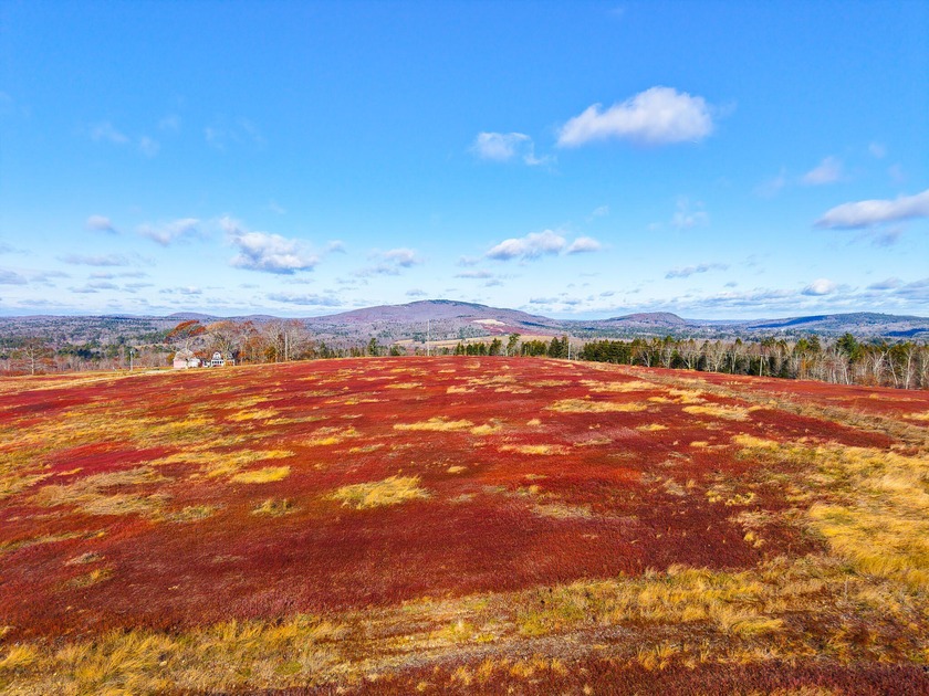 CALL TASHIA FOR YOUR SHOWING! . This property offers - Beach Acreage for sale in Stockton Springs, Maine on Beachhouse.com