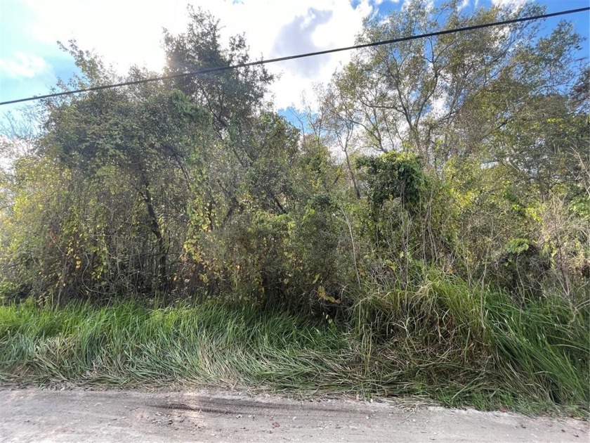 VACANT LAND WITH LOTS OF POTENTIAL! LOCATED IN MOON LAKE ESTATES - Beach Lot for sale in New Port Richey, Florida on Beachhouse.com