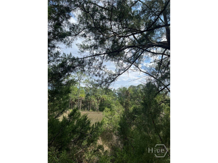 2 separate lots/pins. Purchase both or if separately, 155k each - Beach Lot for sale in Savannah, Georgia on Beachhouse.com