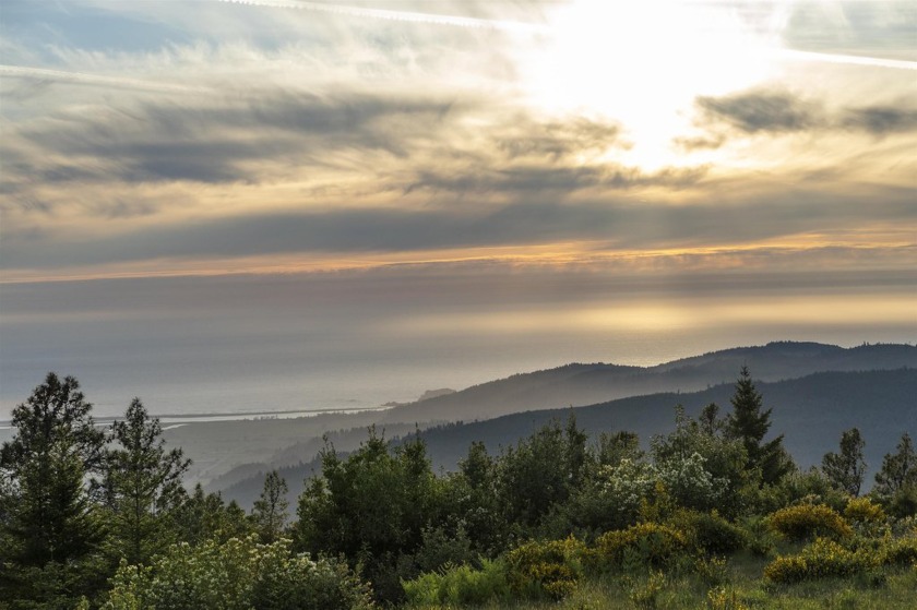 Find Serenity at this Mountain Top Retreat. Spellbinding Ocean - Beach Home for sale in Crescent City, California on Beachhouse.com