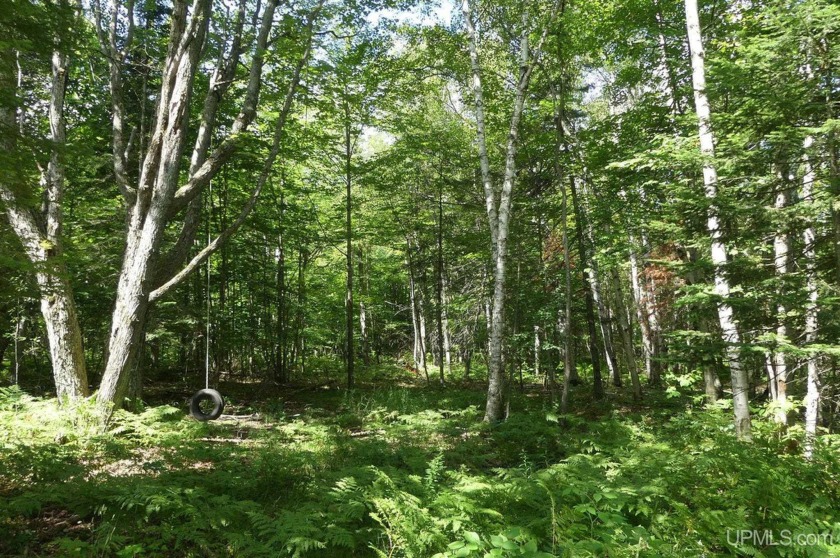 UPDATE:  Lot 3 is still available.  Lot's 1-A, 1-B and 8 have - Beach Acreage for sale in Grand Marais, Michigan on Beachhouse.com