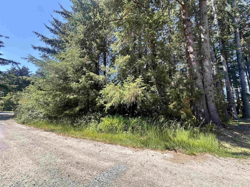 Sunny 0.68-acre lot for sale, just 3 miles from the beach in - Beach Lot for sale in Crescent City, California on Beachhouse.com