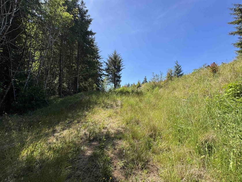 This beautiful 2.12-acre parcel in the Harbor View Subdivision - Beach Lot for sale in Crescent City, California on Beachhouse.com