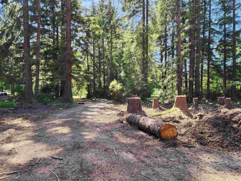 This 1- acre lot is ideally situated, less than 4 miles to the - Beach Lot for sale in Crescent City, California on Beachhouse.com
