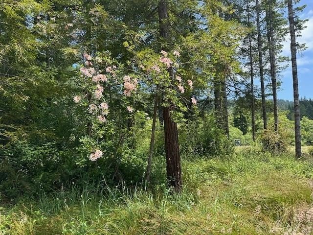 Fantastic opportunity to own your own four bedroom, three - Beach Home for sale in Crescent City, California on Beachhouse.com