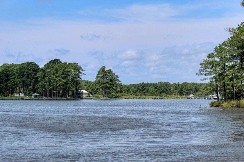 Amazing waterfront lot with astounding views! This spacious - Beach Acreage for sale in Belhaven, North Carolina on Beachhouse.com