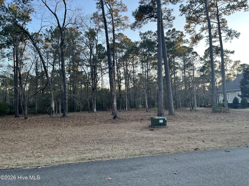 Own This Golf Course Lot - Seller Financing Available! Skip the - Beach Lot for sale in Shallotte, North Carolina on Beachhouse.com