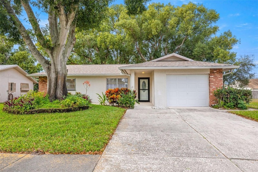 Welcome home to this updated, move-in ready Palm Harbor retreat - Beach Home for sale in Palm Harbor, Florida on Beachhouse.com