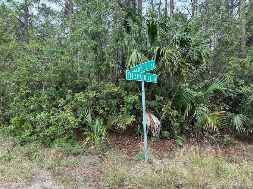New Houses on both sides of this lot. Road is paved. Lot is - Beach Lot for sale in Palm Bay, Florida on Beachhouse.com