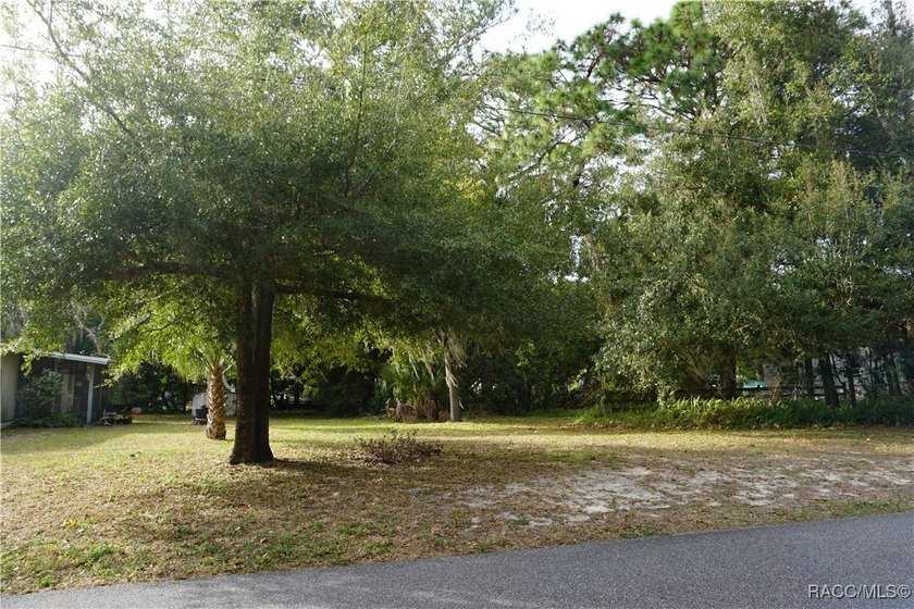 Nature Coast Florida laid back living. Build your home by the - Beach Lot for sale in Crystal River, Florida on Beachhouse.com