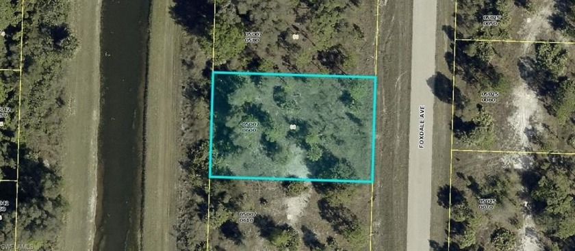 GREAT OPPORTUNITY!! This Beautiful 0.23 Acre Lot Located in East - Beach Lot for sale in Lehigh Acres, Florida on Beachhouse.com