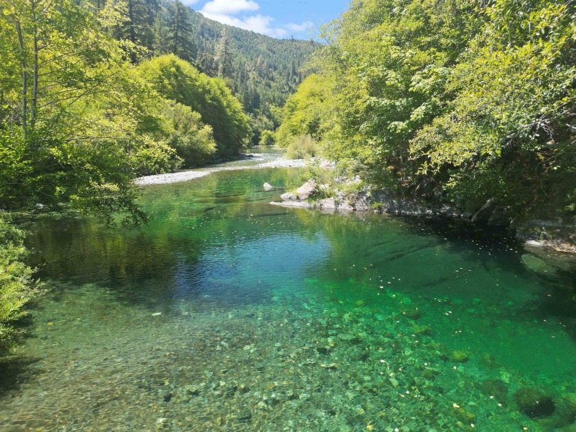OFF GRID ELEGANCE - Go to  for the full story! Live, work, and - Beach Home for sale in Crescent City, California on Beachhouse.com