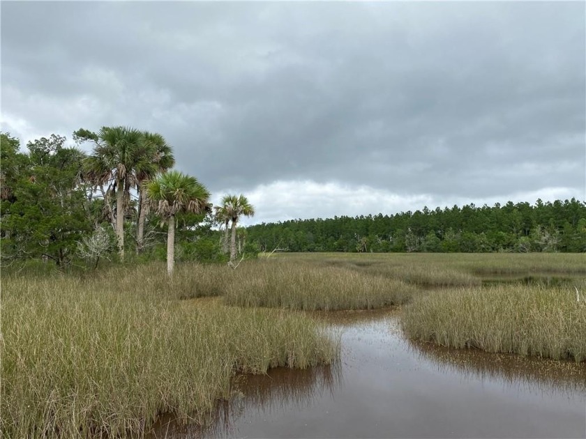 GORGEOUS WATERFRONT & MARSHFRONT PROPERTY on 6.58 ACRES!!! This - Beach Acreage for sale in Brunswick, Georgia on Beachhouse.com