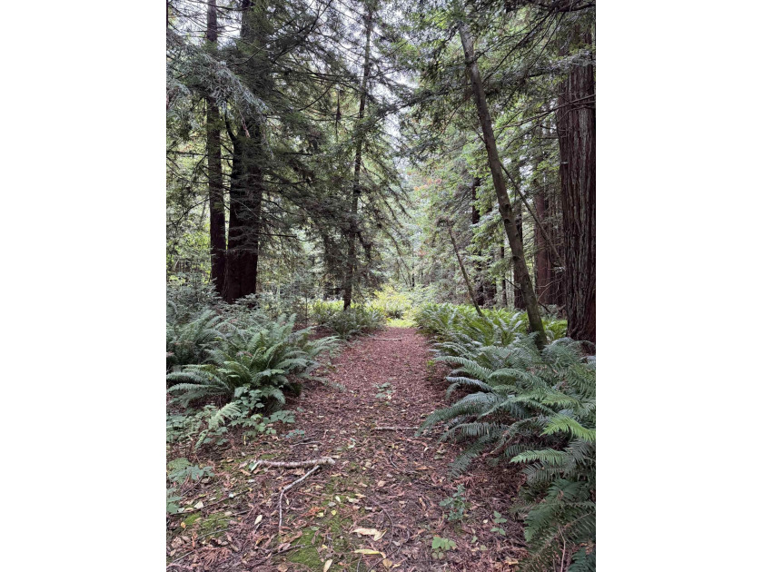 A place to make your own!  This 2.06-acre level, buildable lot - Beach Lot for sale in Crescent City, California on Beachhouse.com