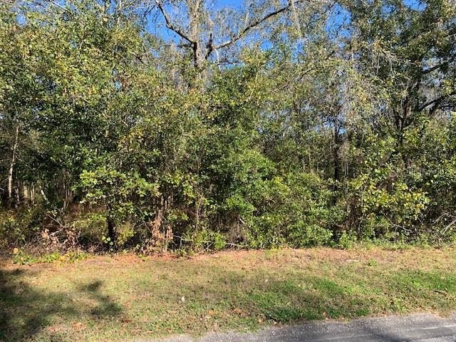 Price Reduction of $2000 with only 3 Lots left. Property located - Beach Lot for sale in Riverview, Florida on Beachhouse.com