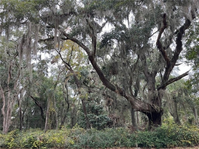 Beautiful homesite in perfect Tolomato location, just around the - Beach Lot for sale in Darien, Georgia on Beachhouse.com