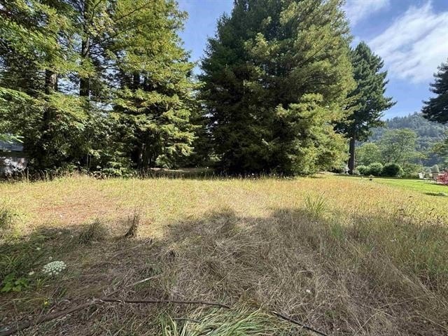 PRICED TO SELL! Great lot in rural Redwood West Sub-division! - Beach Lot for sale in Crescent City, California on Beachhouse.com