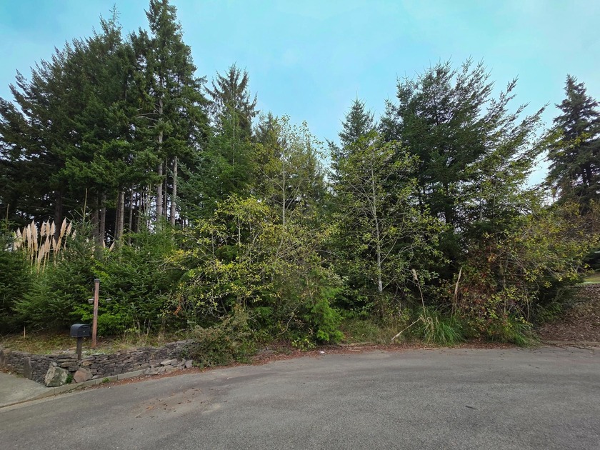 Seize the opportunity to own just about an acre of serene - Beach Lot for sale in Crescent City, California on Beachhouse.com