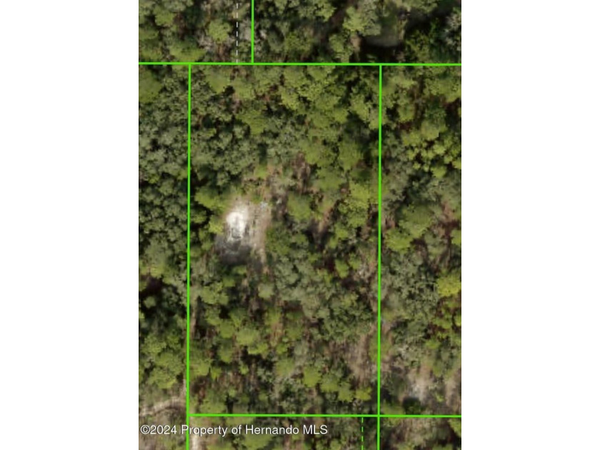 2.5 acres of land located off bourassa blvd that will be paved - Beach Acreage for sale in Weeki Wachee, Florida on Beachhouse.com