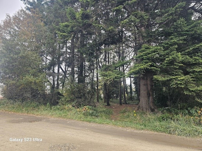 This corner lot has .23 of an acre with trees. Newer homes - Beach Lot for sale in Crescent City, California on Beachhouse.com