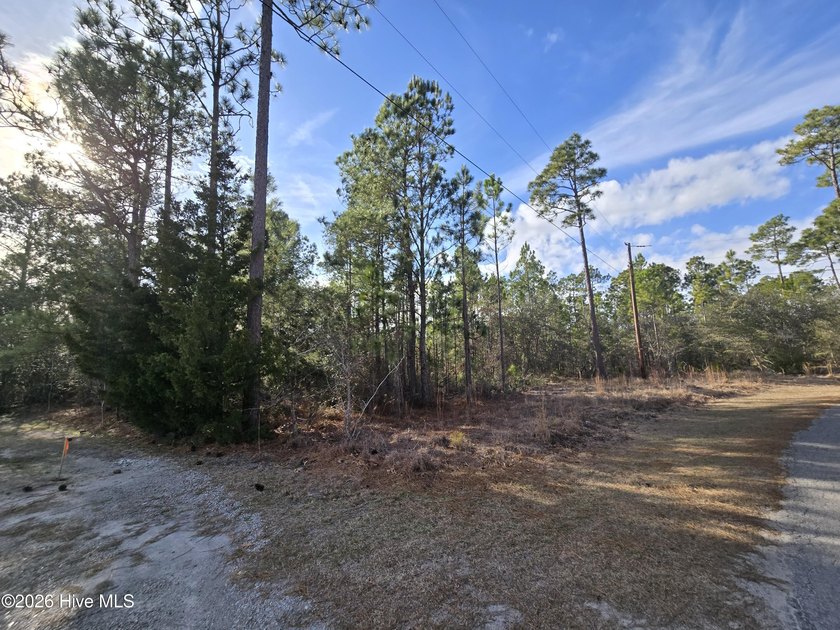 Large 3/4 acre building lot in Boiling Spring Lakes. Preliminary - Beach Lot for sale in Southport, North Carolina on Beachhouse.com
