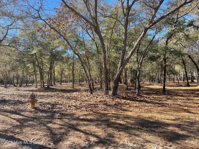 SEASCAPE is an elegantly planned waterway community like no - Beach Lot for sale in Supply, North Carolina on Beachhouse.com