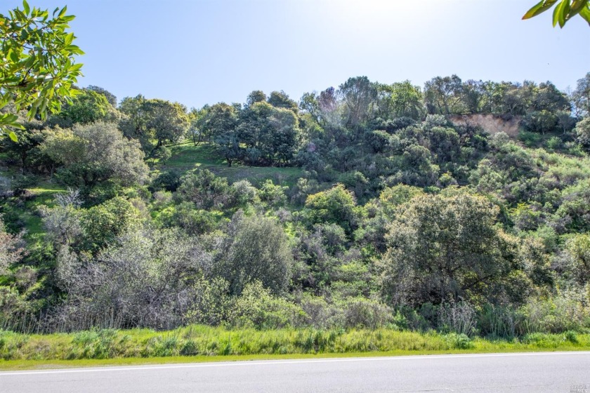 Almost 2-acre lot near the end of Sunny Oaks Drive with privacy - Beach Lot for sale in San Rafael, California on Beachhouse.com