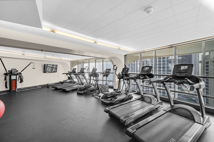 This is the view you want to have at Marina Towers. Breathtaking - Beach Condo for sale in Chicago, Illinois on Beachhouse.com