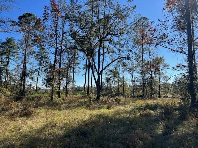 LARGE, MARSH-FRONT LOT IN LAKESIDE AT LONGWOOD! Build your dream - Beach Lot for sale in Brunswick, Georgia on Beachhouse.com