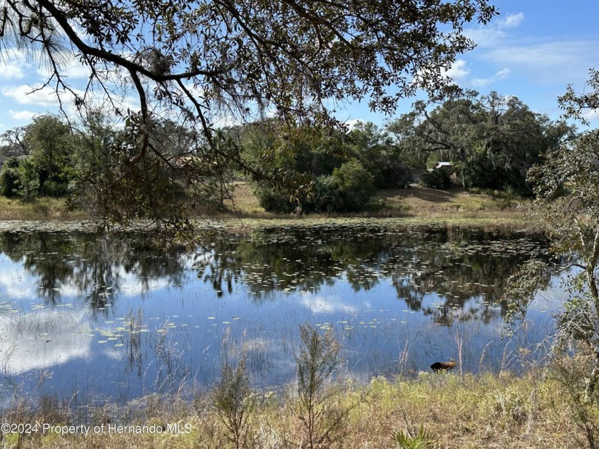 Discover the magnificent blend of nature and convenience with - Beach Lot for sale in Spring Hill, Florida on Beachhouse.com