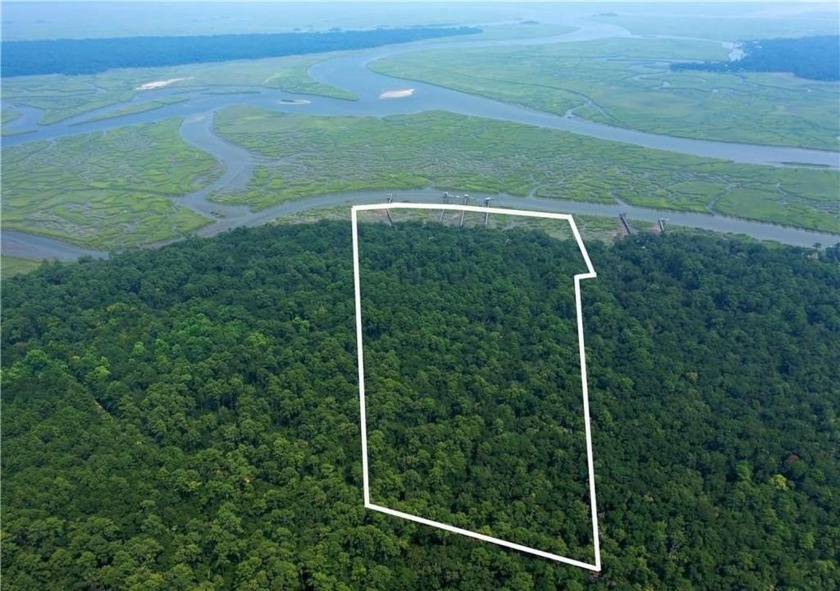 22 ACRES on high BLUFF with 220 feet of river frontage with - Beach Acreage for sale in Crescent, Georgia on Beachhouse.com
