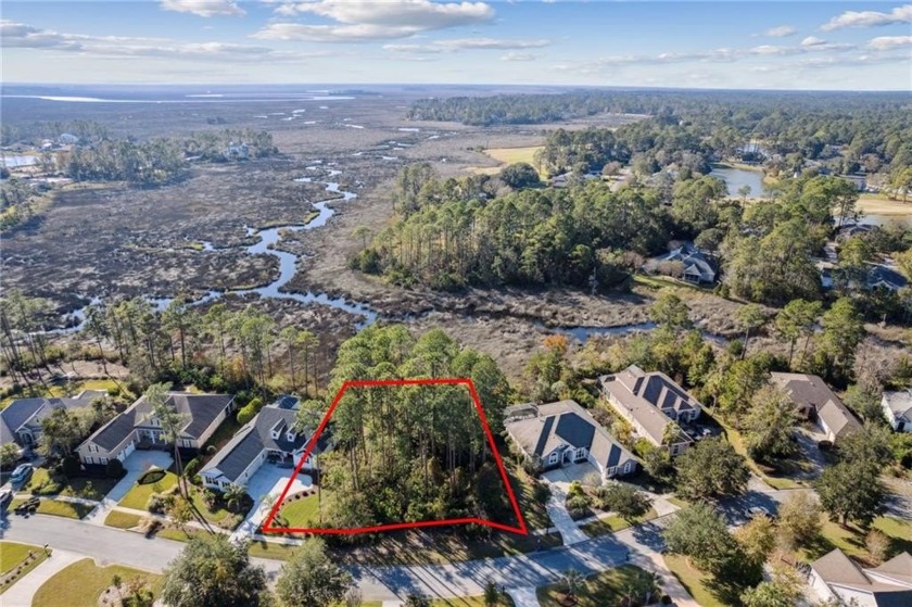 Discover Your Dream Home Site - 356 Millers Branch in Osprey - Beach Lot for sale in Saint Marys, Georgia on Beachhouse.com